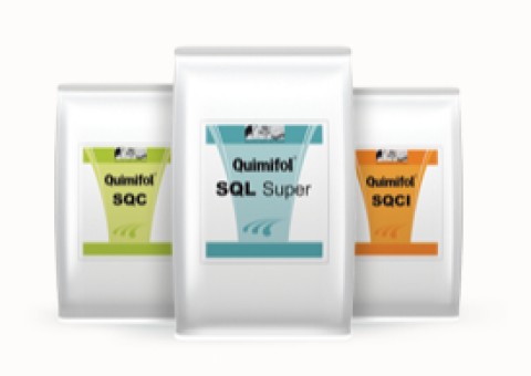 Quimifol SQL SUPER