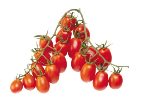 FRUTILLA